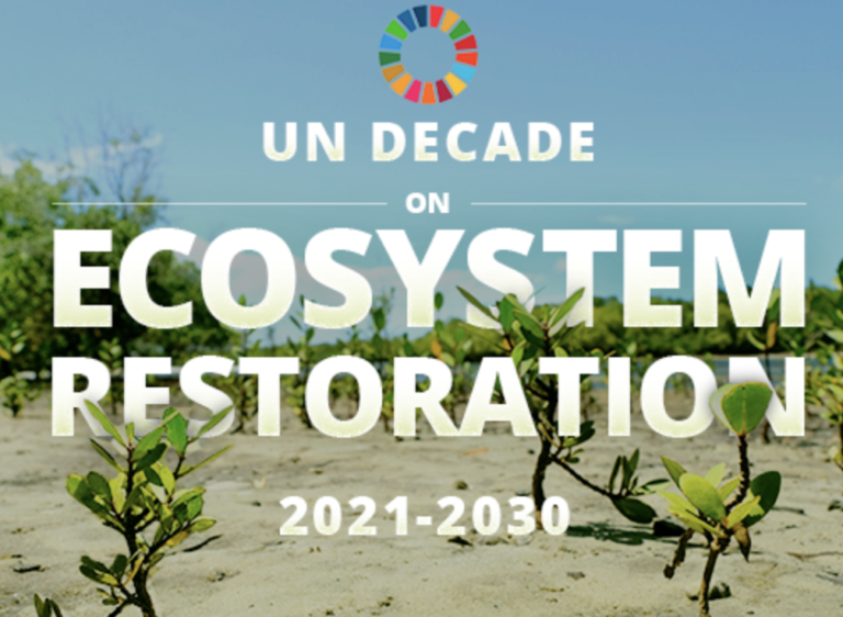 UN Decade on Ecosystem Restoration