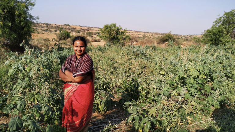 A Green Oasis Blooms in Andhra Pradesh, India