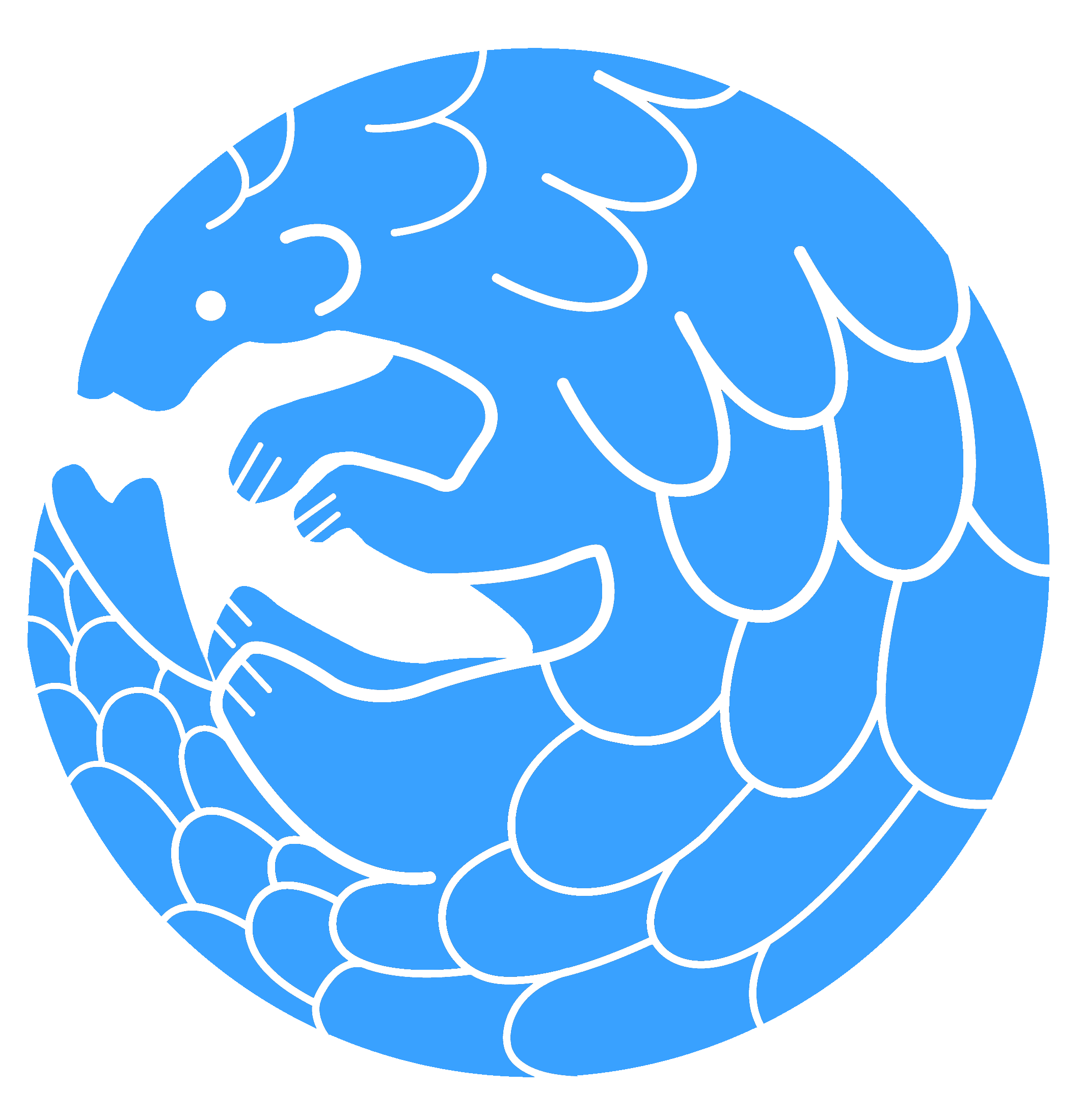 Light-blue-white-lines-PLG-