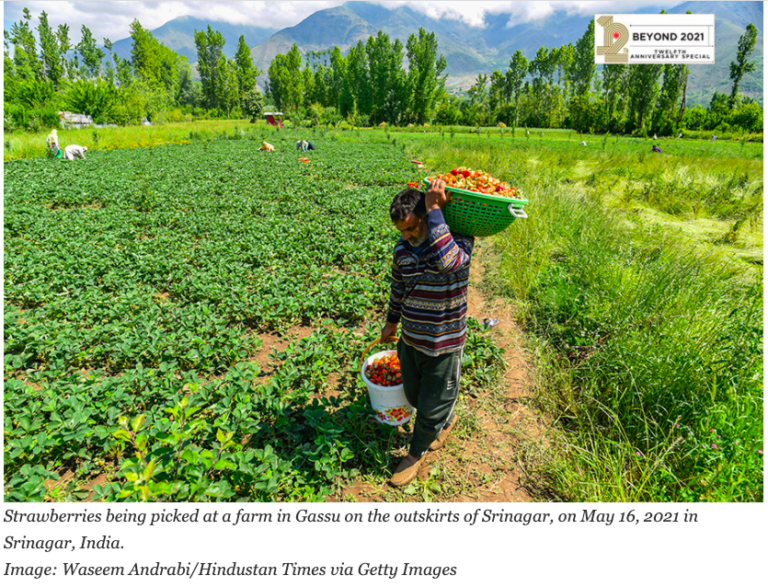 Forbes: India can be a global leader in building a nature-positive economy