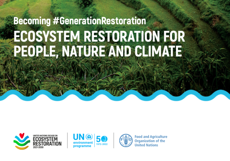 UNEP, FAO: Becoming #GenerationRestoration: Ecosystem Restoration for People, Nature and Climate