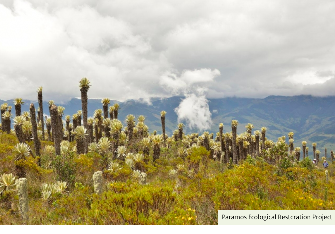 PBL NEAA: The global potential for land restoration – Scenarios for the Global Land Outlook 2