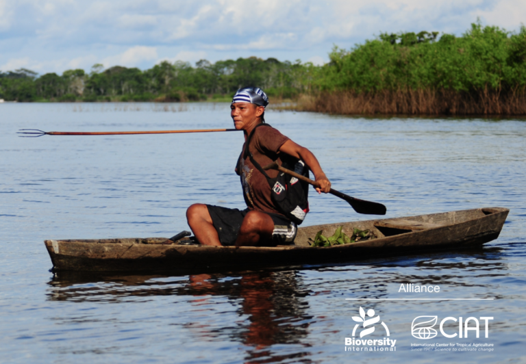 FAO Report: Indigenous Peoples’ food systems