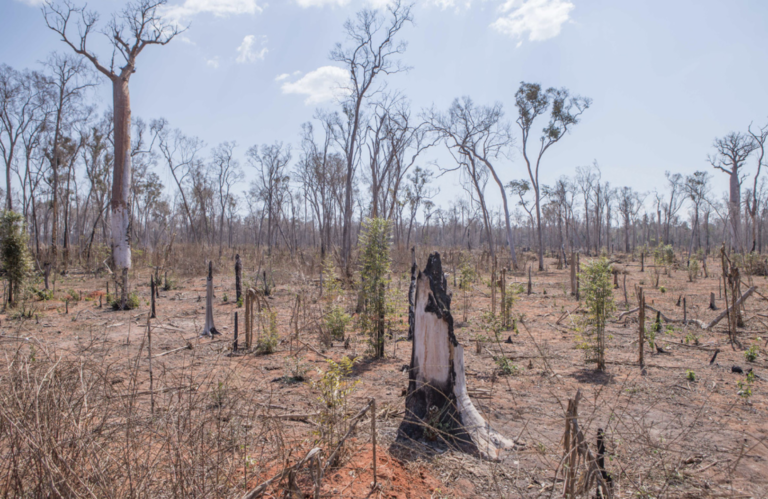 Land degradation and climate change