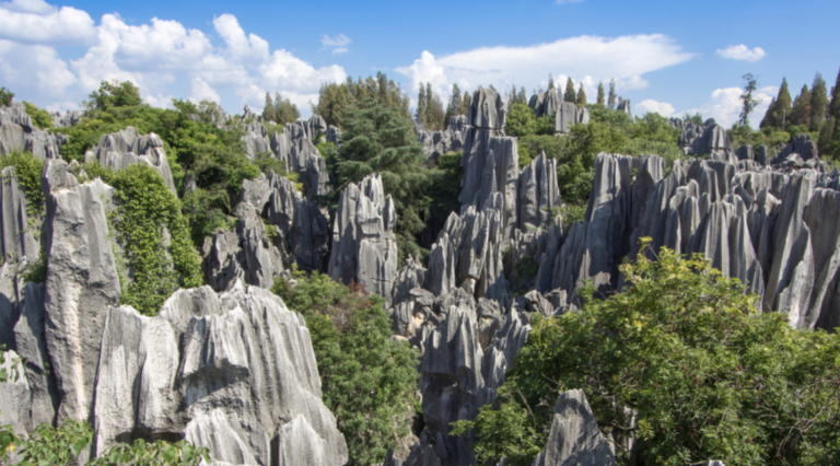 Investors Respond to Draft Biodiversity Targets Ahead of COP15