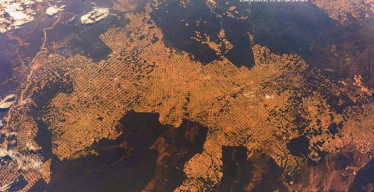 Amazon No Longer Absorbs Carbon—Has the World Reached the Point of No Return?