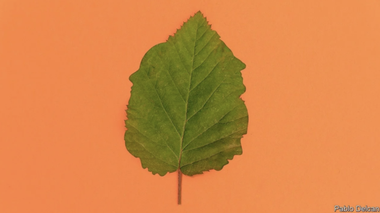 Humanity’s Immense Impact on Earth’s Climate and Carbon Cycle