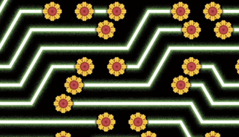 Billions are Pouring into the Business of Decarbonisation