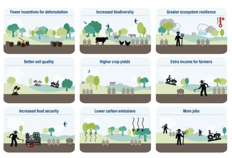 Repurposing Agricultural Subsidies to Restore Degraded Farmland and Grow Rural Prosperity
