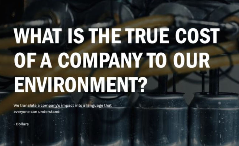 What Is The True Cost Of A Company To Our Environment?