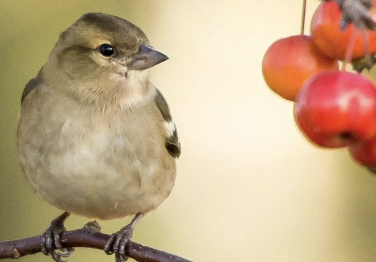 Investing in nature gives industry and business a competitive advantage. Here’s why.