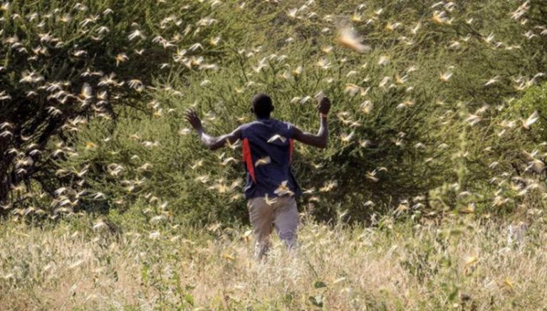 Climate Disasters Are Increasingly Interconnected