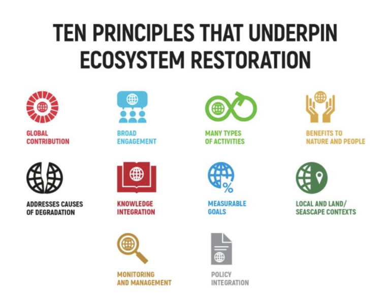 Panel unveils 10 guiding principles in campaign to revive the Earth