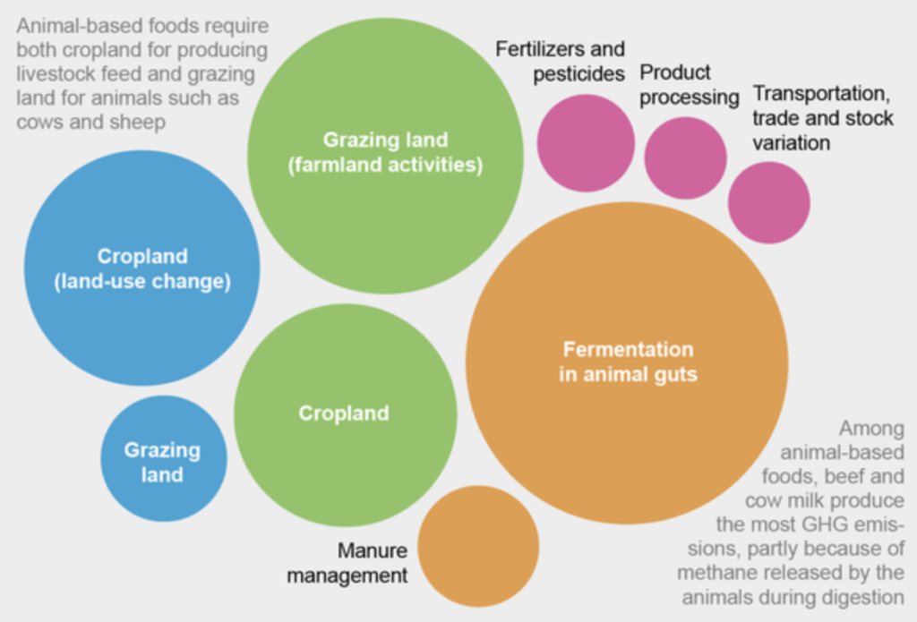 here-s-how-much-food-contributes-to-climate-change-gasp