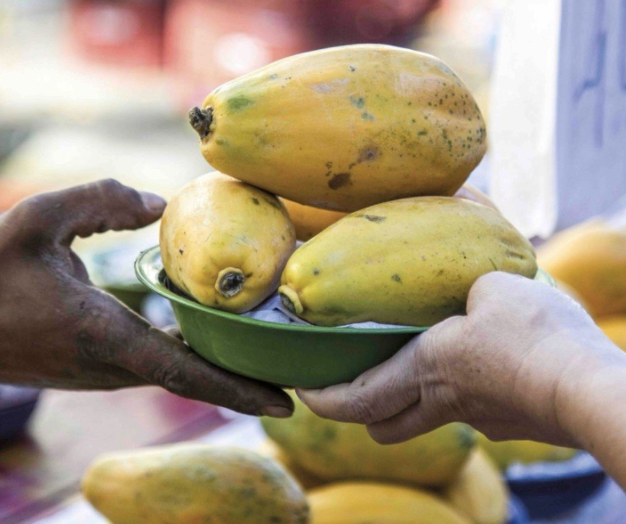 UNEP Report – A Multi-Billion-Dollar Opportunity: Repurposing agricultural support to transform food systems