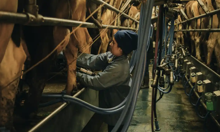 90% of global farm subsidies damage people and planet, says UN