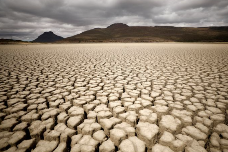 Exclusive: Investors call for governments to toughen climate accounting – letter