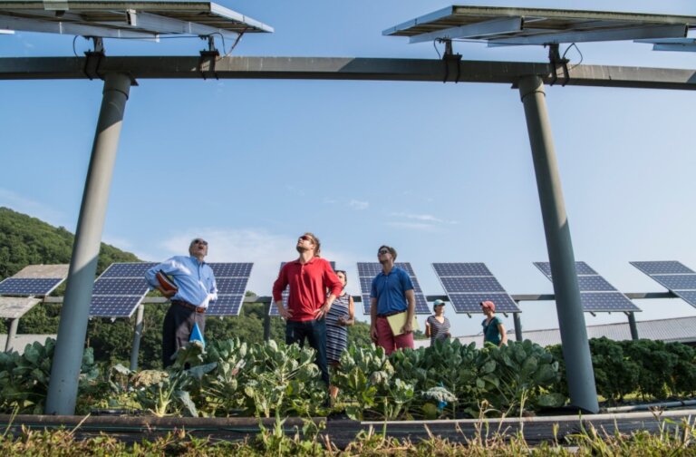 “Half of all jobs will be redefined by climate change”