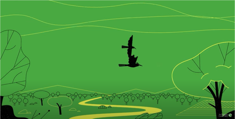 A Natural Solution to Climate Change