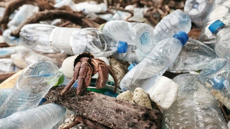 Climate Change: Don’t sideline plastic problem, nations urged