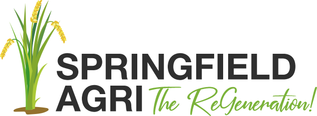 Springfield