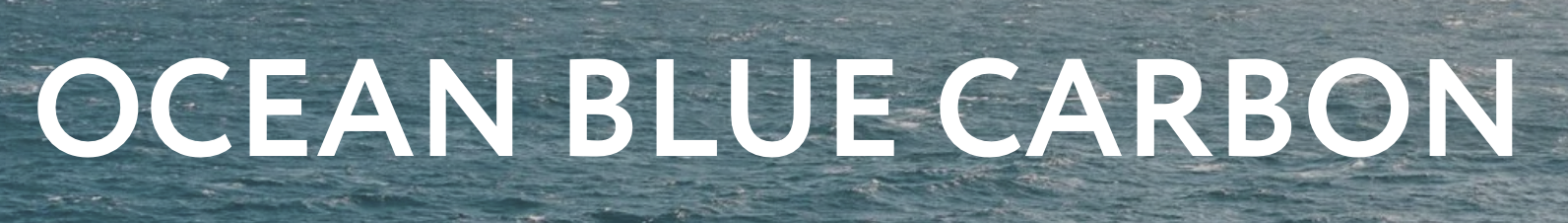 Ocean-Blue-Carbon
