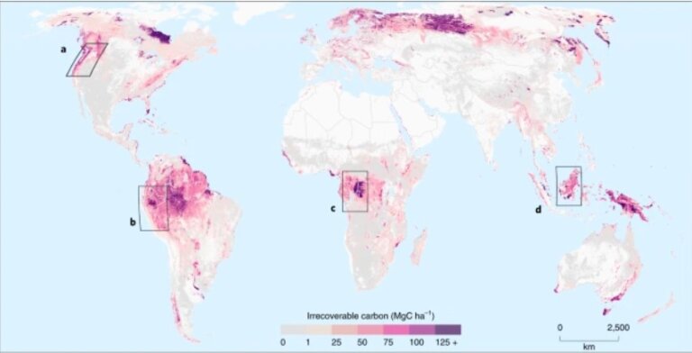 Mapping the irrecoverable carbon in Earth’s ecosystems