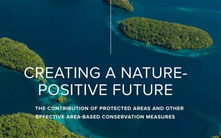 Creating a Nature Positive Future