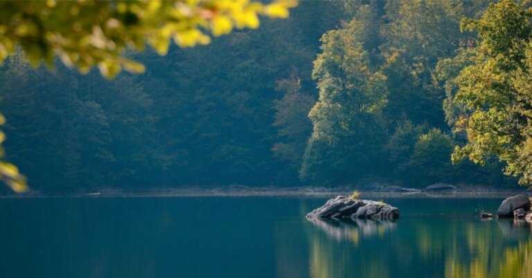 Nature-based solutions for climate resilience receive €10 million boost