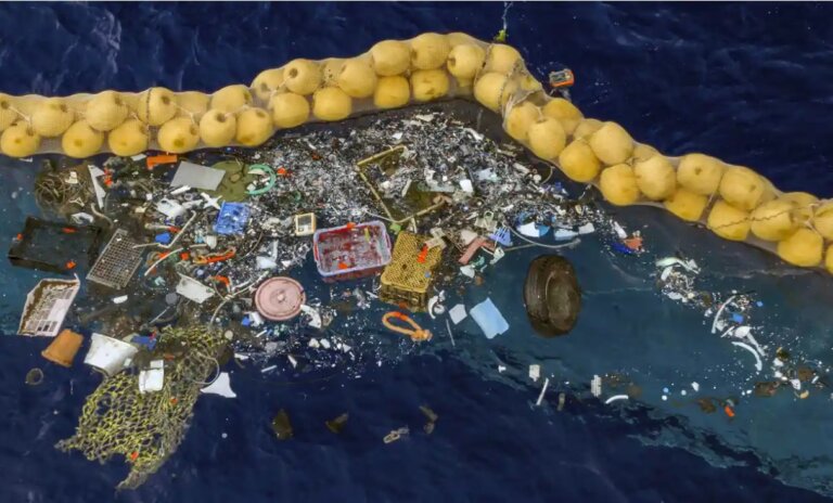 Coastal species are forming colonies on plastic trash in the ocean, study finds