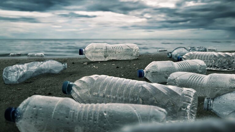 Plastic crisis needs binding treaty, report says