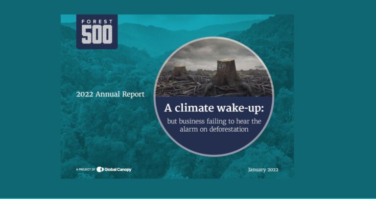 A climate wake-up: but business failing to hear the alarm on deforestation