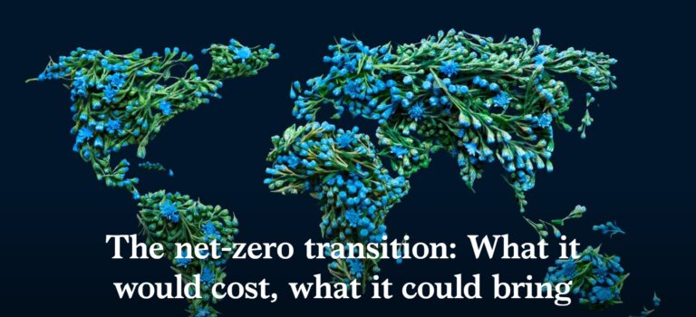 The net-zero transition: What it would cost, what it could bring