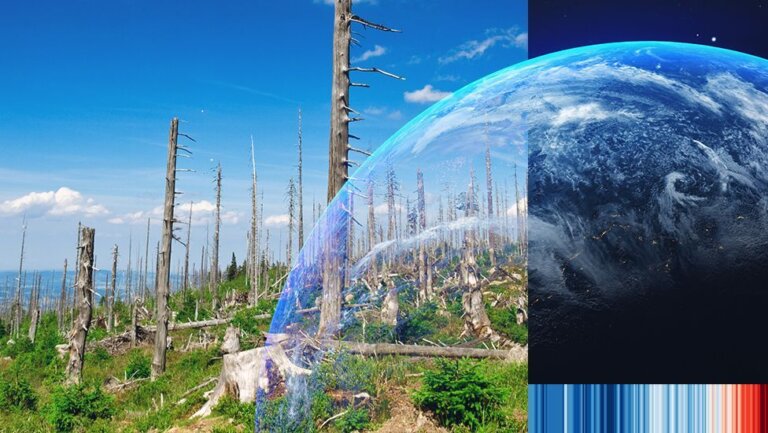 Climate change: The environmental disasters we’ve almost fixed