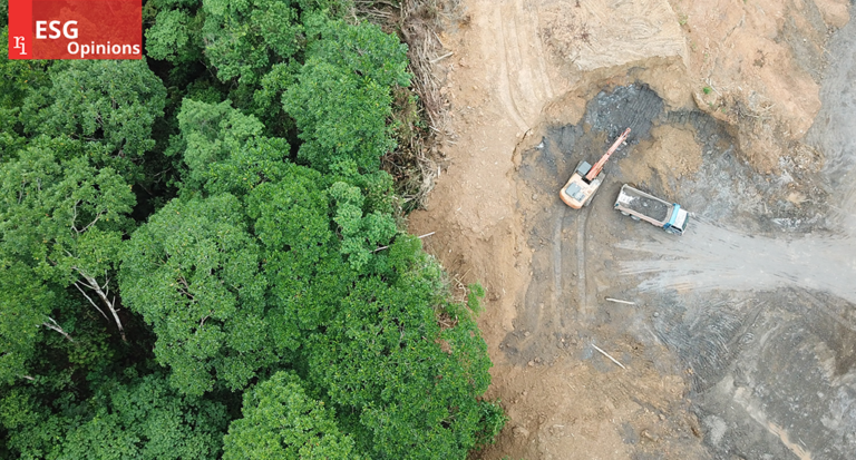 100 days since COP Deforestation Commitments – why every investor needs to act now