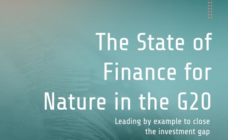 The State of Finance for Nature in the G20 report