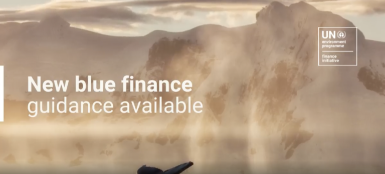 Diving Deep: New Guidance on Finance, Ocean Pollution, Plastics and Coastal Resilience