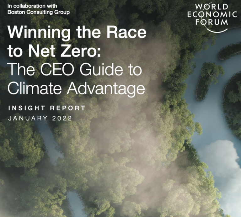 Winning the Race to Net Zero: The CEO Guide to Climate Advantage