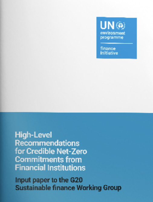 Recommendations for Credible Net-Zero Commitments from Financial Institutions