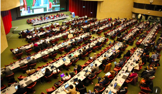 Pressure grows for deal to save nature at crunch talks in Geneva