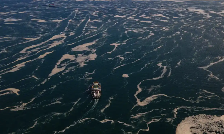 Global warming risks most cataclysmic extinction of marine life in 250m years