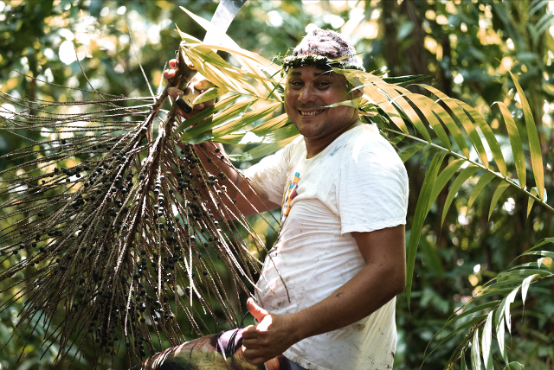 The SAMBAZON Difference: Sustainable Management of the Brazilian Amazon