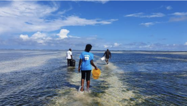 Experts Highlight Need to Consider Environmental Variation in Ocean Acidification Studies