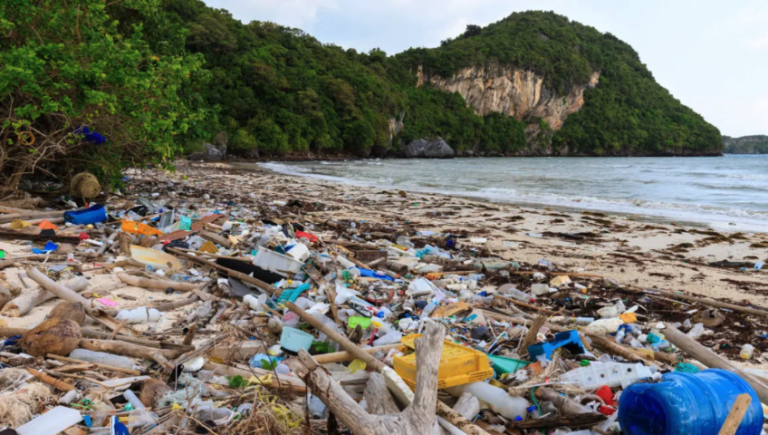 World’s plastic pollution rate set to double by 2060, OECD warns