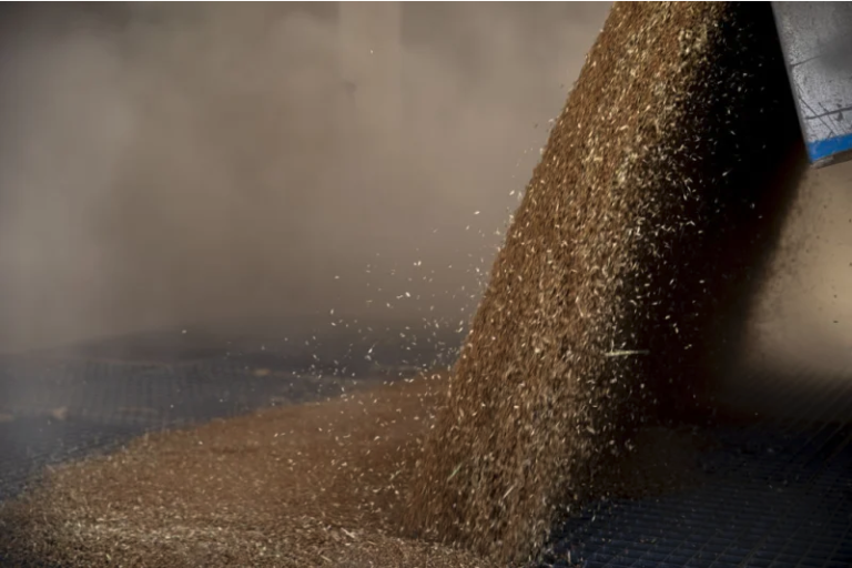 The Ukraine Crisis Shows How Fragile Our Food Systems Are