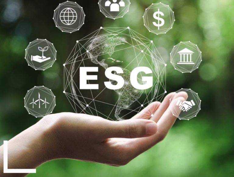 Is Sustainable Investing Sustainable?