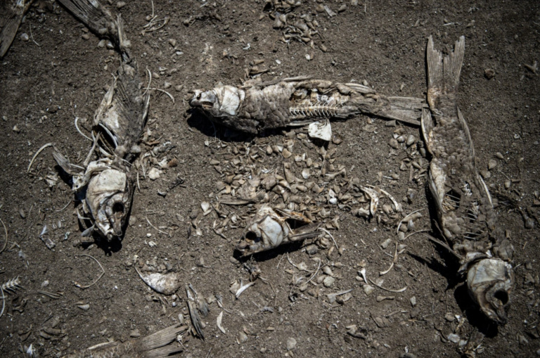 ‘There is no water’: A climate alarm as lake in Chile turns to a desert