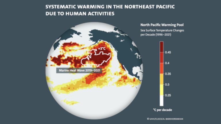 Systematic warming pool discovered in the Pacific due to human activities