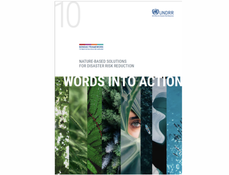 Nature-based Solutions for Disaster Risk Reduction (UNDRR Report)