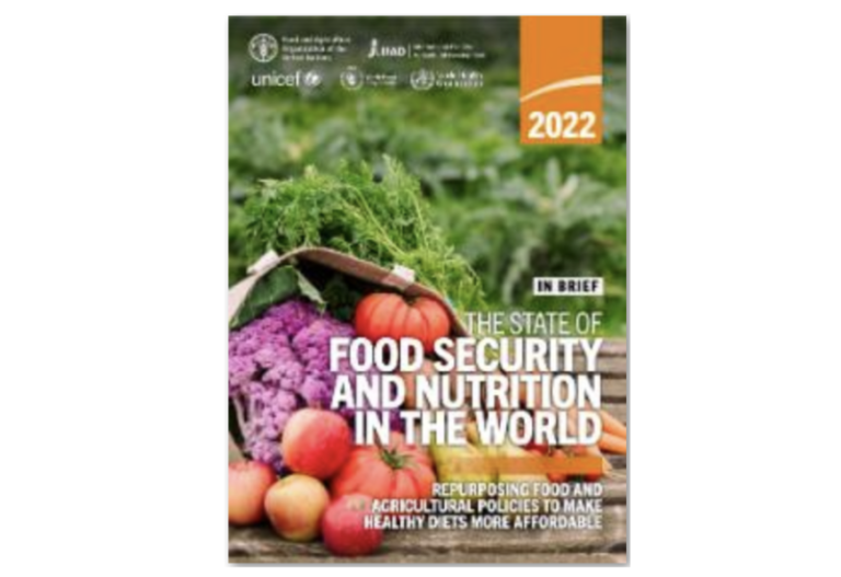 The State of Food Security and Nutrition in the World 2022